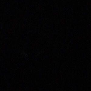 Meet your Posher, Luis